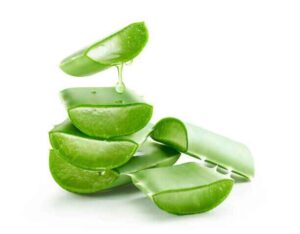 aloe vera gel to reverse receding gums naturally