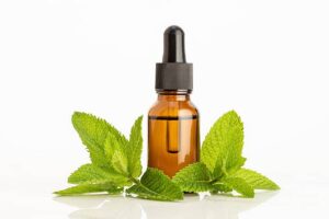 Peppermint Oil to reverse receding gums naturally