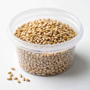 Sesame Seeds is included in diet for a whiter teeth