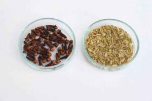 Clove & Fennel Seed to get rid of bad breath naturally