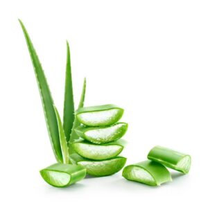 Does Aloe Vera Help with Tartar?