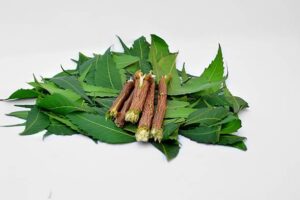 neem to whiten teeth naturally