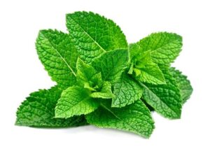Peppermint for white teeth