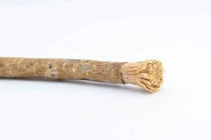 Can We Use Neem Stick for Brushing Teeth Daily?