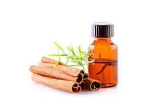 Cinnamon Oil