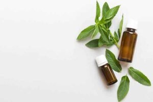 Peppermint, Spearmint essential oil