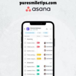 Asana APK