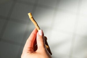دانتوں کی قدرتی صفائی اور کیڑے سے بچاؤ کے لیے پیلو کی مسواک